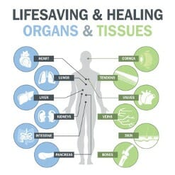 lifesaving and healing