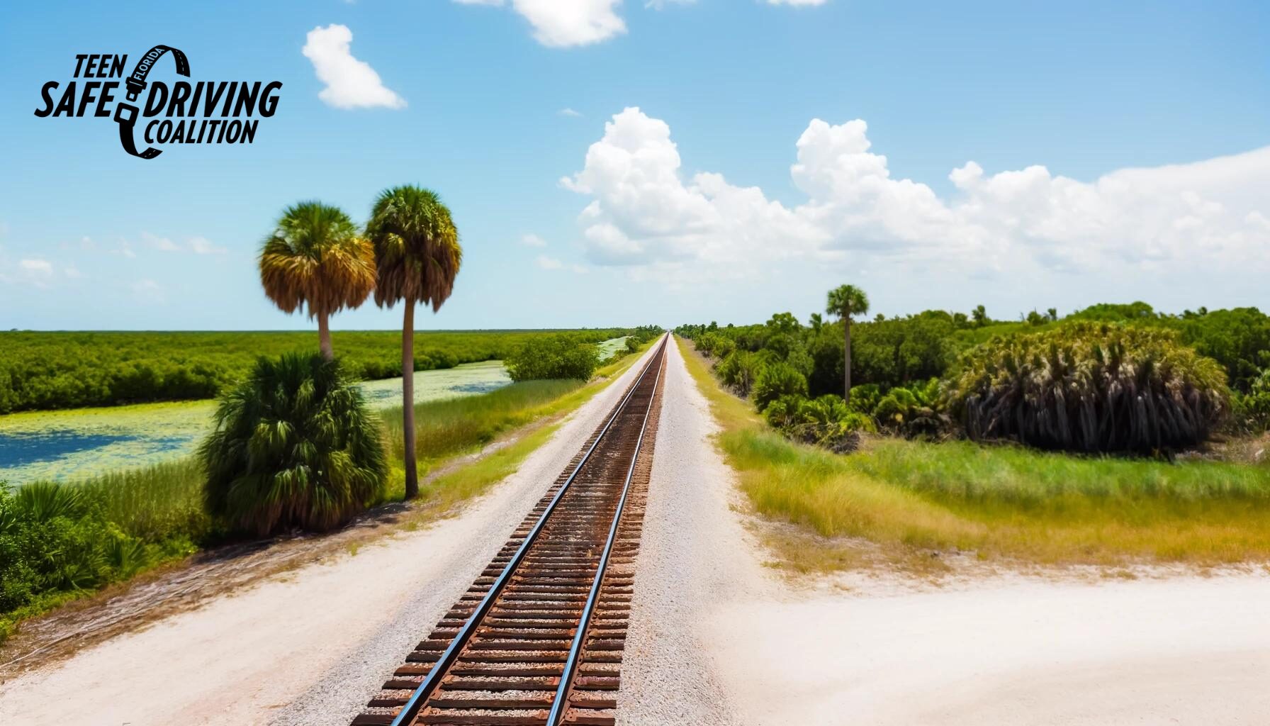 Stay Safe Near the Tracks: It’s Rail Safety Week!